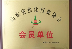 山東省焦化行業(yè)協會會員單位